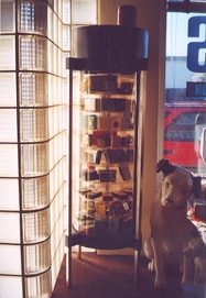 Bob's shop storefront